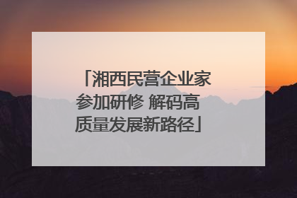 湘西民营企业家参加研修 解码高质量发展新路径