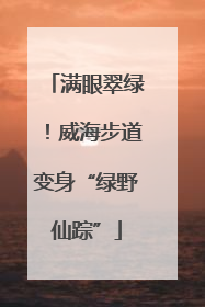 满眼翠绿！威海步道变身“绿野仙踪”