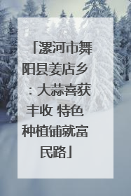 漯河市舞阳县姜店乡：大蒜喜获丰收 特色种植铺就富民路