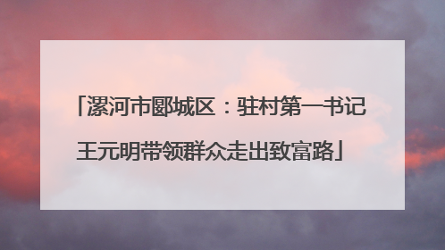 漯河市郾城区：驻村第一书记王元明带领群众走出致富路