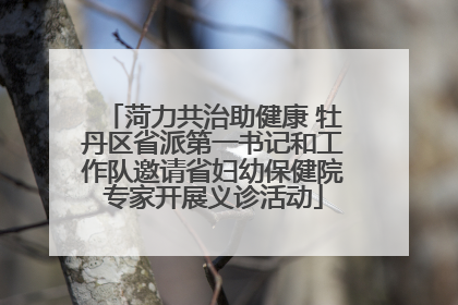 菏力共治助健康 牡丹区省派第一书记和工作队邀请省妇幼保健院专家开展义诊活动