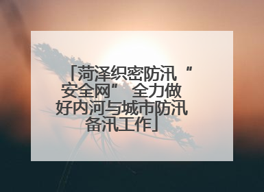 菏泽织密防汛“安全网” 全力做好内河与城市防汛备汛工作