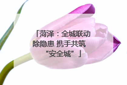 菏泽：全城联动除隐患 携手共筑“安全城”