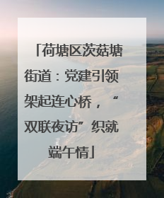 荷塘区茨菇塘街道：党建引领架起连心桥，“双联夜访”织就端午情