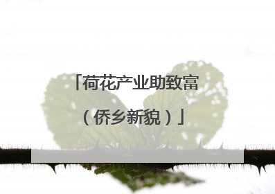 荷花产业助致富（侨乡新貌）