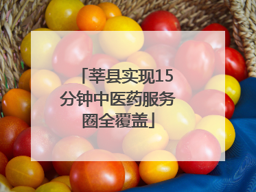 莘县实现15分钟中医药服务圈全覆盖