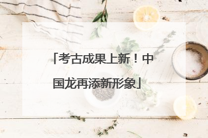 考古成果上新！中国龙再添新形象