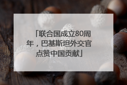 联合国成立80周年，巴基斯坦外交官点赞中国贡献
