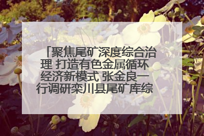 聚焦尾矿深度综合治理 打造有色金属循环经济新模式 张金良一行调研栾川县尾矿库综合治理工作
