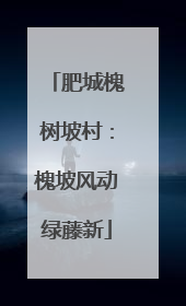 肥城槐树坡村：槐坡风动绿藤新