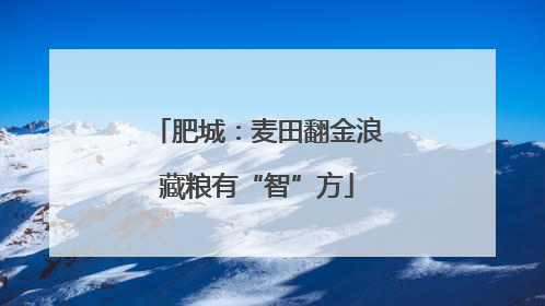 肥城：麦田翻金浪藏粮有“智”方