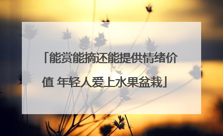 能赏能摘还能提供情绪价值 年轻人爱上水果盆栽