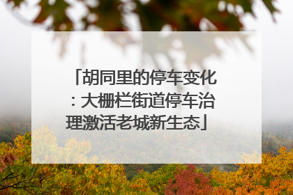 胡同里的停车变化：大栅栏街道停车治理激活老城新生态