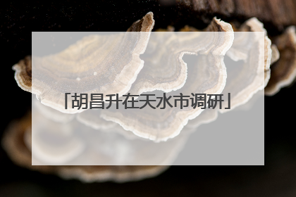 胡昌升在天水市调研