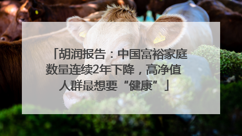 胡润报告：中国富裕家庭数量连续2年下降，高净值人群最想要“健康”