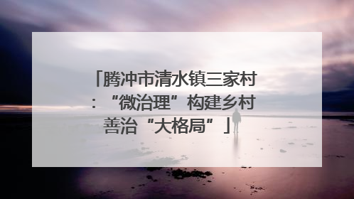 腾冲市清水镇三家村：“微治理”构建乡村善治“大格局”