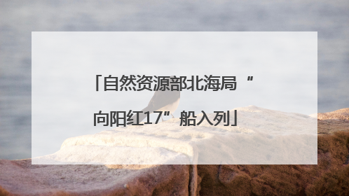 自然资源部北海局“向阳红17”船入列