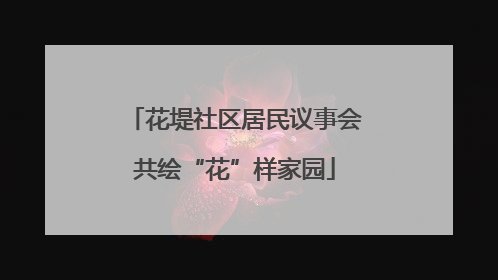 花堤社区居民议事会共绘“花”样家园