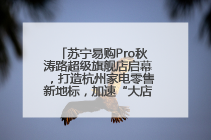 苏宁易购Pro秋涛路超级旗舰店启幕，打造杭州家电零售新地标，加速“大店攻略”全省布局