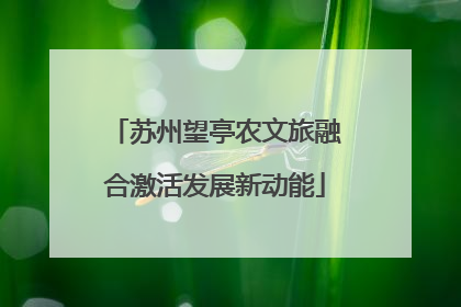 苏州望亭农文旅融合激活发展新动能