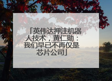 英伟达押注机器人技术，黄仁勋：我们早已不再仅是芯片公司