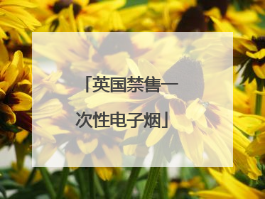 英国禁售一次性电子烟
