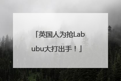 英国人为抢Labubu大打出手！