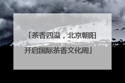 茶香四溢，北京朝阳开启国际茶香文化周
