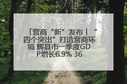 营商“新”发布丨“四个突出”打造营商环境 辉县市一季度GDP增长6.9% 36个重点项目落地