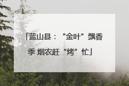 蓝山县：“金叶”飘香季 烟农赶“烤”忙