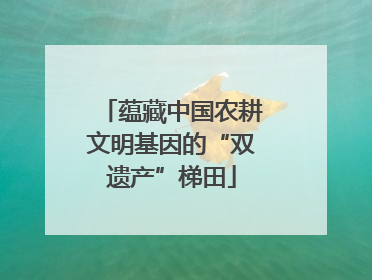 蕴藏中国农耕文明基因的“双遗产”梯田