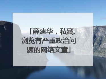薛建华，私藏、浏览有严重政治问题的网络文章