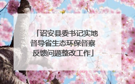 诏安县委书记实地督导省生态环保督察反馈问题整改工作