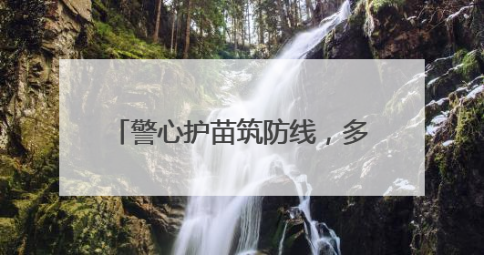 警心护苗筑防线，多维守护伴成长 常州公安启动暑期青少年安全防范集中宣传行动