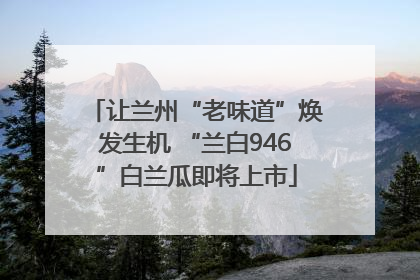 让兰州“老味道”焕发生机 “兰白946”白兰瓜即将上市