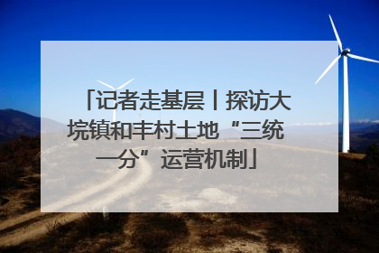 记者走基层丨探访大垸镇和丰村土地“三统一分”运营机制
