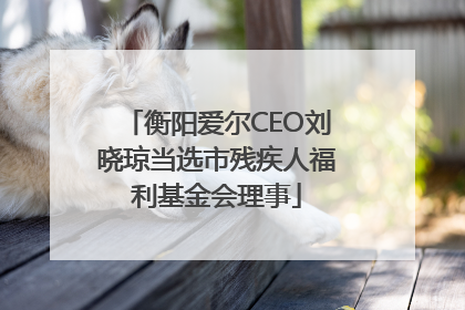 衡阳爱尔CEO刘晓琼当选市残疾人福利基金会理事