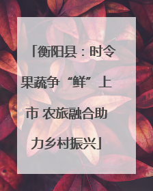 衡阳县：时令果蔬争“鲜”上市 农旅融合助力乡村振兴