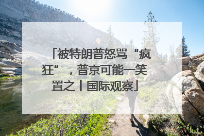 被特朗普怒骂“疯狂”，普京可能一笑置之丨国际观察