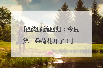 西湖顶流回归：今夏第一朵荷花开了！
