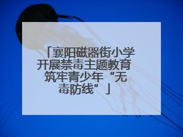 襄阳磁器街小学开展禁毒主题教育 筑牢青少年“无毒防线”