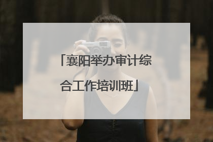 襄阳举办审计综合工作培训班