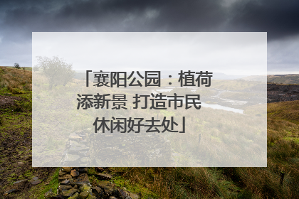 襄阳公园：植荷添新景 打造市民休闲好去处