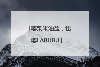 要柴米油盐，也要LABUBU