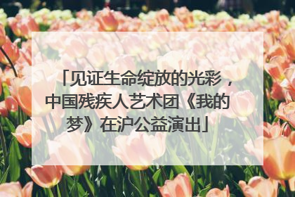 见证生命绽放的光彩，中国残疾人艺术团《我的梦》在沪公益演出