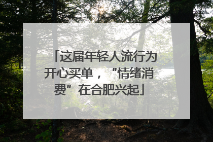 这届年轻人流行为开心买单，“情绪消费”在合肥兴起