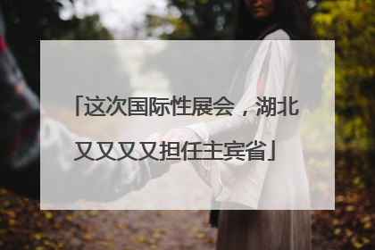 这次国际性展会，湖北又又又又担任主宾省