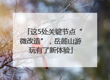 这5处关键节点“微改造”，岳麓山游玩有了新体验