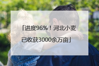 进度96%！河北小麦已收获3000余万亩