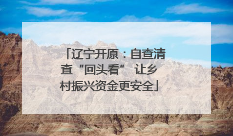 辽宁开原：自查清查“回头看” 让乡村振兴资金更安全